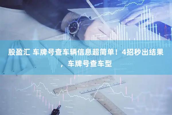 股盈汇 车牌号查车辆信息超简单！4招秒出结果，车牌号查车型
