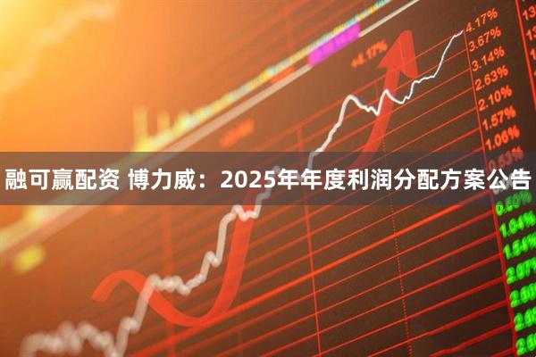 融可赢配资 博力威：2025年年度利润分配方案公告