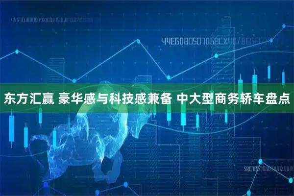 东方汇赢 豪华感与科技感兼备 中大型商务轿车盘点