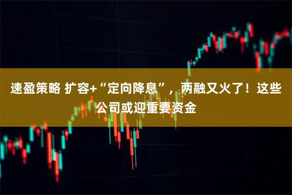 速盈策略 扩容+“定向降息”,两融又火了!这些公司或迎重要资金