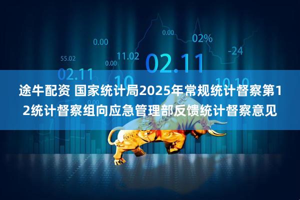 途牛配资 国家统计局2025年常规统计督察第12统计督察组向应急管理部反馈统计督察意见