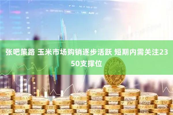 张吧策路 玉米市场购销逐步活跃 短期内需关注2350支撑位