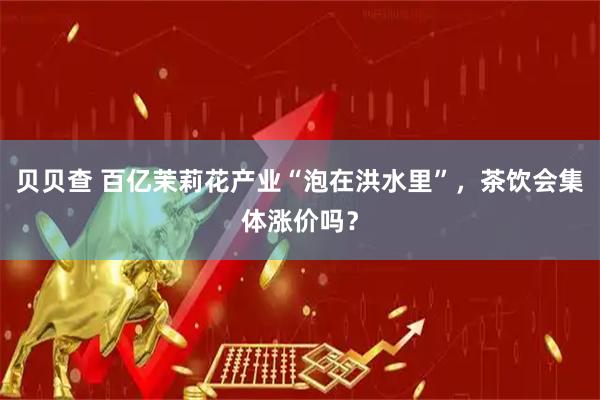 贝贝查 百亿茉莉花产业“泡在洪水里”,茶饮会集体涨价吗?
