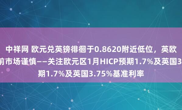 中祥网 欧元兑英镑徘徊于0.8620附近低位，英欧央行利率决议前市场谨慎——关注欧元区1月HICP预期1.7%及英国3.75%基准利率