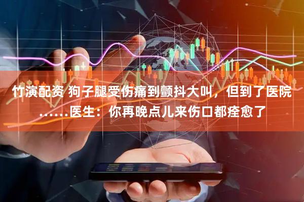 竹演配资 狗子腿受伤痛到颤抖大叫，但到了医院……医生：你再晚点儿来伤口都痊愈了