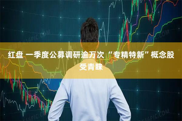 红盘 一季度公募调研逾万次 “专精特新”概念股受青睐