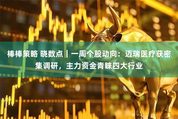 棒棒策略 晓数点|一周个股动向:迈瑞医疗获密集调研,主力资金青睐四大行业