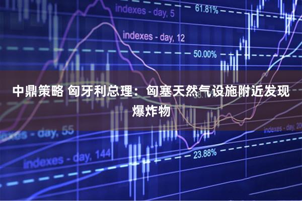 中鼎策略 匈牙利总理:匈塞天然气设施附近发现爆炸物