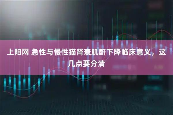 上阳网 急性与慢性猫肾衰肌酐下降临床意义，这几点要分清