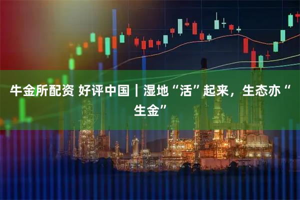 牛金所配资 好评中国｜湿地“活”起来，生态亦“生金”