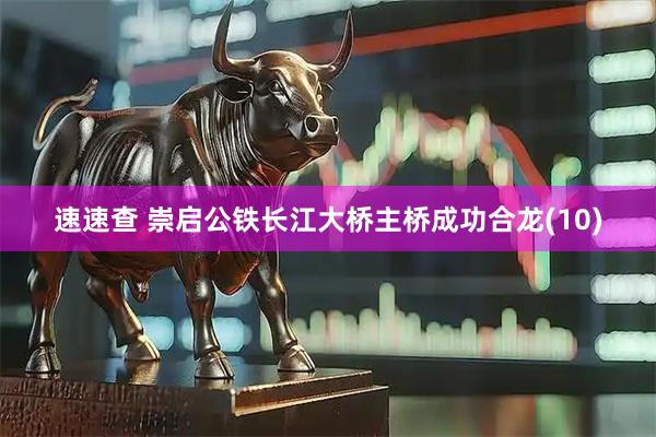 速速查 崇启公铁长江大桥主桥成功合龙(10)