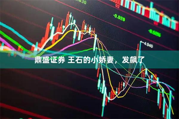 鼎盛证券 王石的小娇妻，发飙了