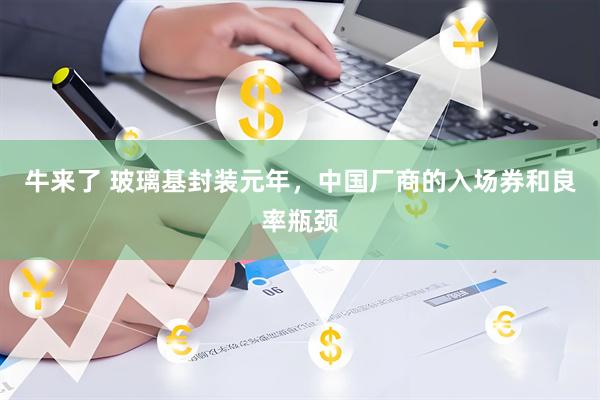 牛来了 玻璃基封装元年，中国厂商的入场券和良率瓶颈