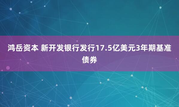 鸿岳资本 新开发银行发行17.5亿美元3年期基准债券